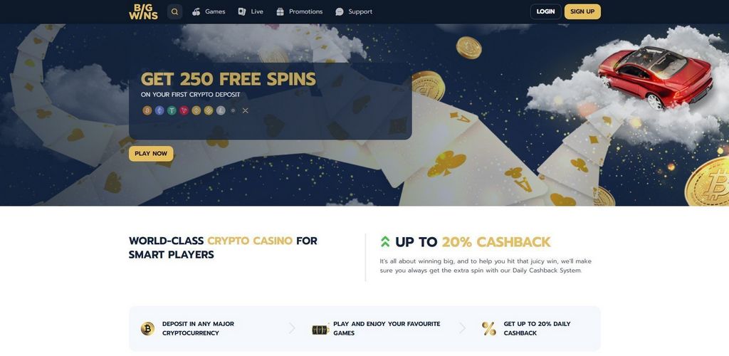 BigWin Casino Site (2025) - Player Ratings & Our Decision