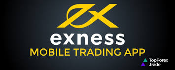 Understanding Exness Cent Account Leverage for Effective Trading 13 Understanding Exness Cent Account Leverage for Effective Trading 13