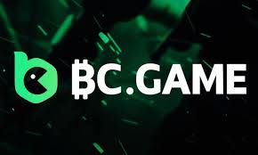 Comprehensive Guide to BC.Game Payment Options 2075174829