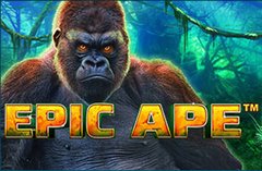 Guide de epic ape slot