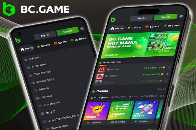 Comprehensive Guide to BC.Game Registration Process Comprehensive Guide to BC.Game Registration Process