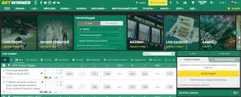 Comprehensive Guide to BetWinner Bonus Details Maximize Your Betting Experience Comprehensive Guide to BetWinner Bonus Details Maximize Your Betting Experience